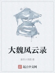 大魏风云录