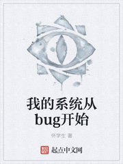 ҵϵͳbugʼ