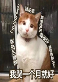 ֫