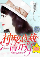 神秘总裁，请开灯！