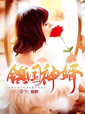 镇国神婿-4